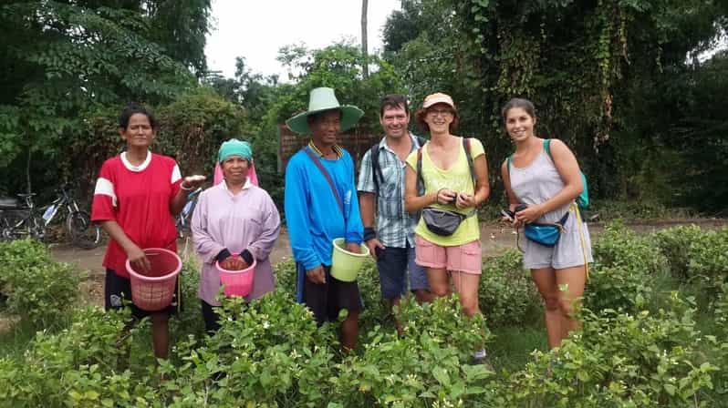 Sukhothai Evening Countryside Sunset Tour