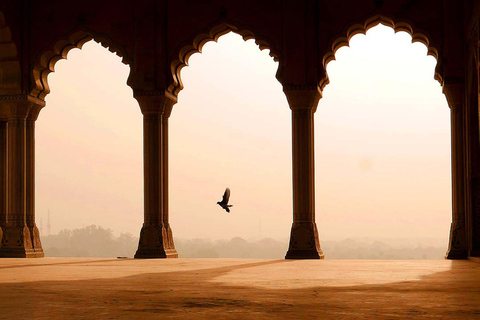 1 nuit et 2 jours à Agra avec Fatehpur Sikri depuis DelhiVisite avec guide