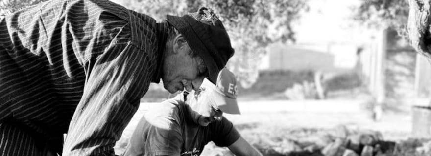 Sicile : visite d'un moulin à huile d'olive avec dégustation et déjeuner