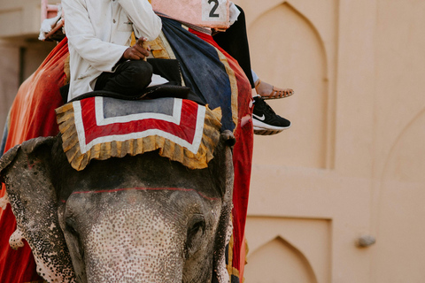 Jaipur: Rondleiding door Hathi Gaon Elephant Village