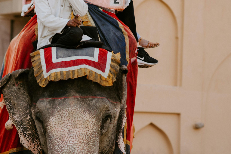 Jaipur: Rondleiding door Hathi Gaon Elephant Village