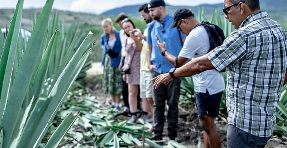 Oaxaca: Mezcal Distillery Tour with Tastings