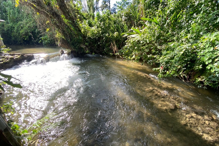 Desde Palenque : Rafting, Caminata en Selva Y Bonampak