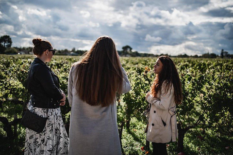 From Bordeaux: Médoc Region Food and Wine Tour