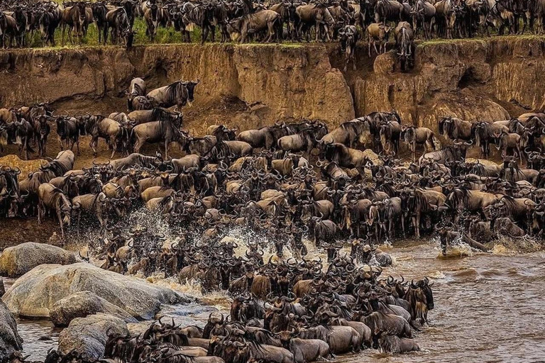 Ngorongoro Crater Day Trip with Picnic Lunch