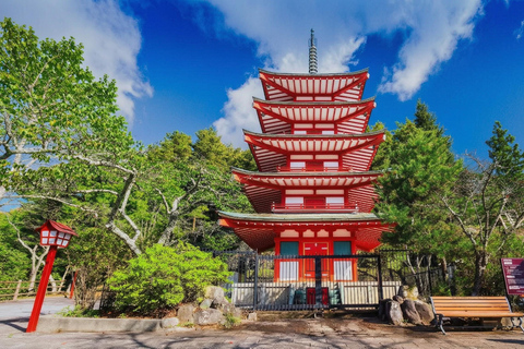 Mt. Fuji & Hakone Tour: Arakurayama, OshinoHakkai, Owakudani Tokyo Station | 7:30 AM Departure with English Guide