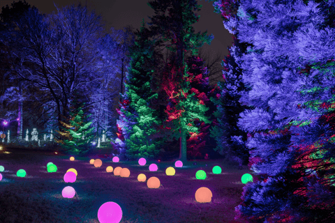 Dresda: Biglietto d'ingresso per il Giardino di Natale di DresdaDresda: biglietto d'ingresso al Giardino di Natale