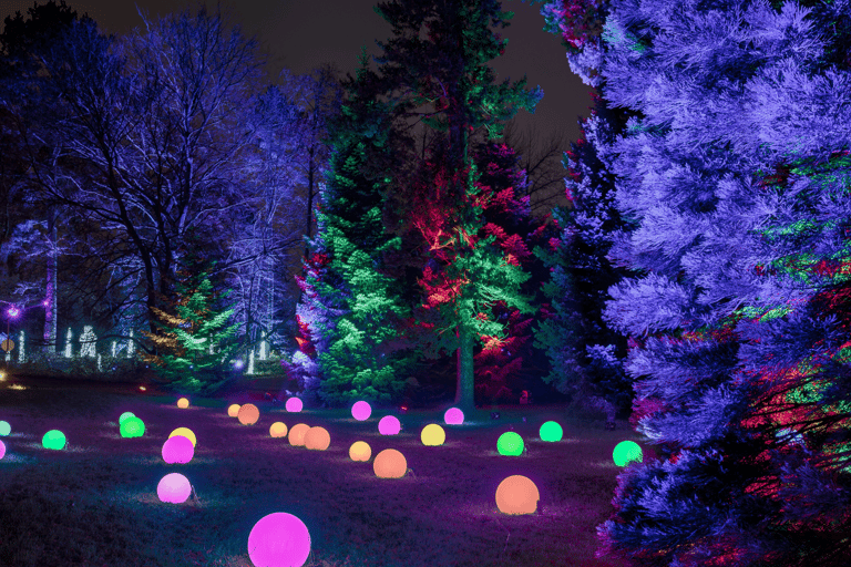 Dresda: Biglietto d'ingresso per il Giardino di Natale di DresdaDresda: biglietto d'ingresso al Giardino di Natale