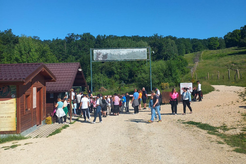Brasov: Tour with Transfer Libearty Bear Sanctuary