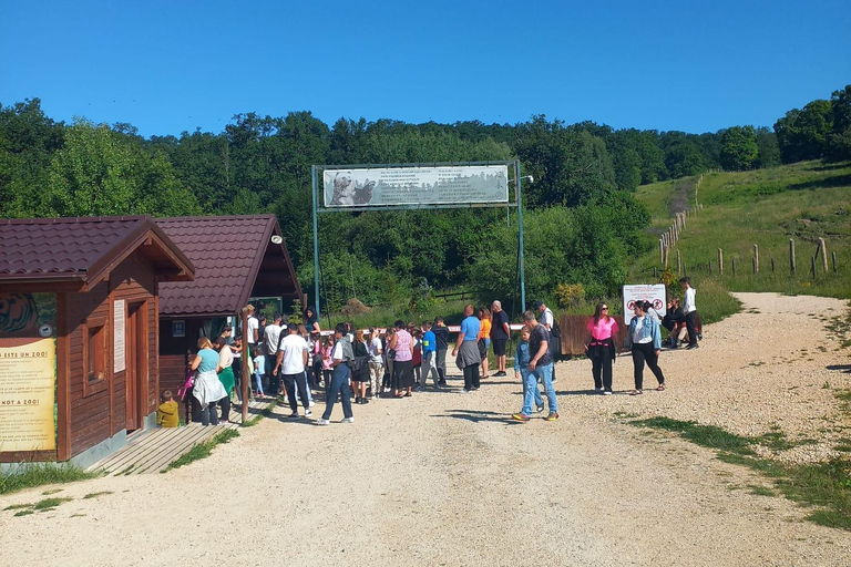 Brasov: Tour with Transfer Libearty Bear Sanctuary