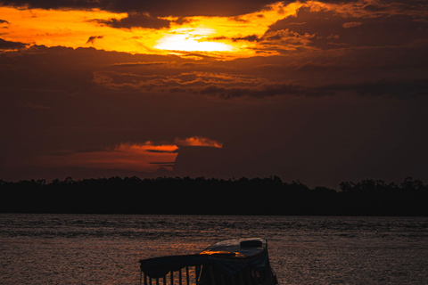 From Kuala Lumpur: Kuala Selangor Firefly Cruise & Dinner