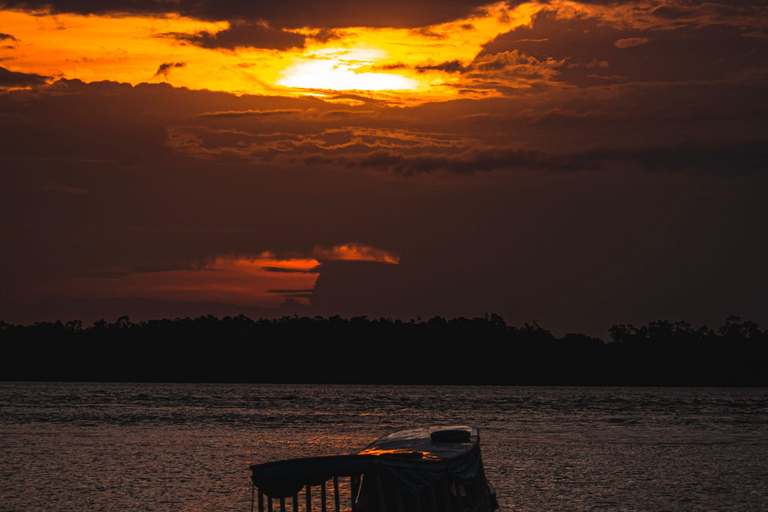 From Kuala Lumpur: Kuala Selangor Firefly Cruise & Dinner