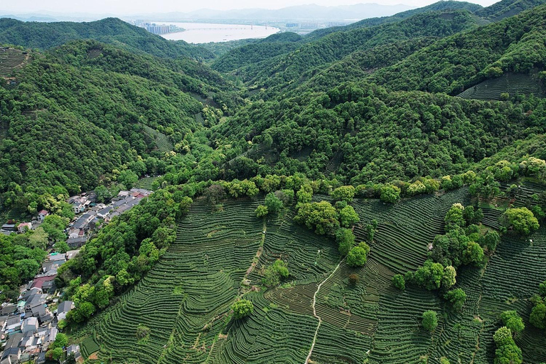 Shanghai: West Lake Hills & Tea Gardens Private Day Trip