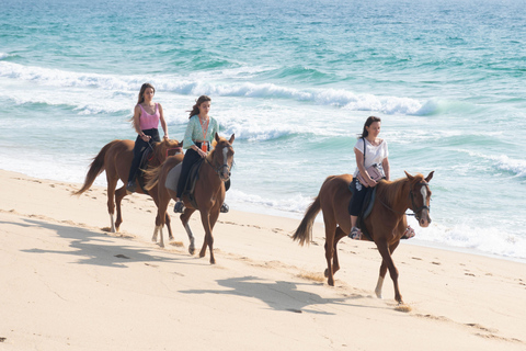 Melides: Ridning på Melides Beach