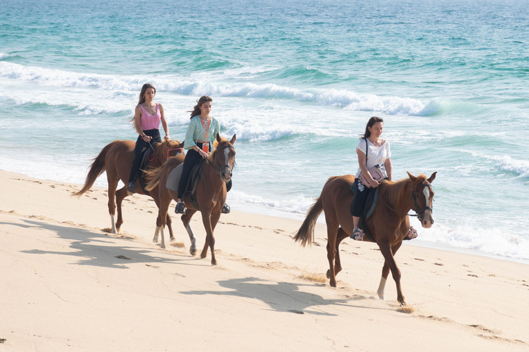 Melides: Ridning på Melides Beach
