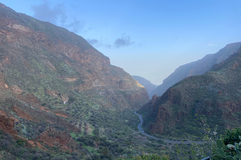 Gran Canaria LET&#039;S GET HIGH: höjdviner och tapaslunch