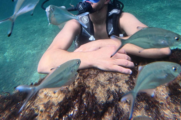 Mahdia: Guided Medina Tour and Scuba Diving Experience