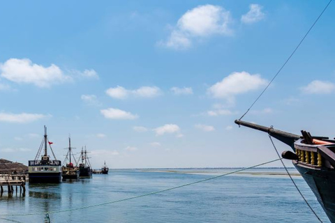 Djerba: Pirate Ship Cruise to Flamingo Island with Lunch