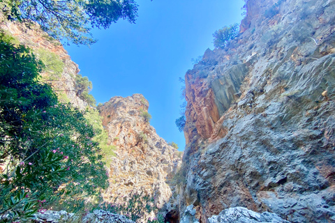 Creta: Tour guiado de senderismo por el Cañón de Kritsa