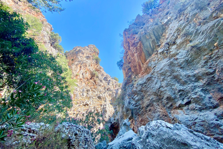Creta: Tour guiado de senderismo por el Cañón de Kritsa