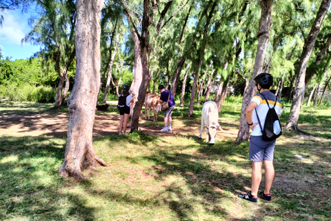 Autentyczna wycieczka z przewodnikiem na rowerze elektrycznym po północnym wybrzeżu