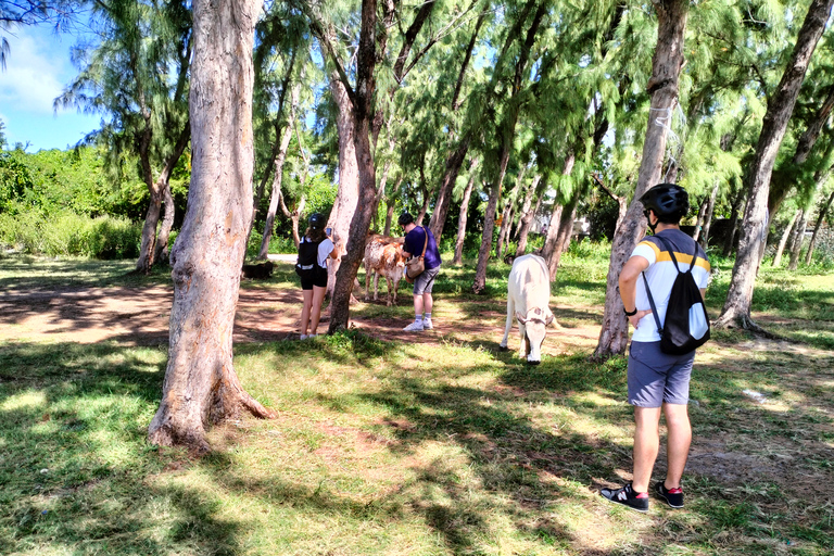 Autentyczna wycieczka z przewodnikiem na rowerze elektrycznym po północnym wybrzeżu