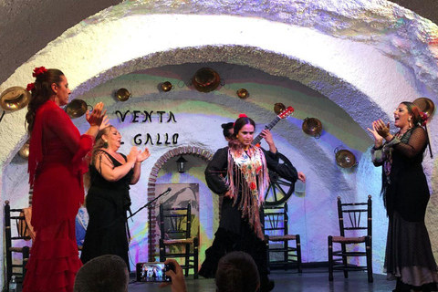 Granada: Authentic Flamenco Show at Venta El Gallo + 1 Drink Flamenco Show with Dinner