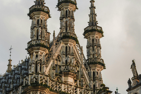 Leuven Bike Tours: Highlights & Beyond + café + bike rental The Leuven Highlights & Beyond (public tour)