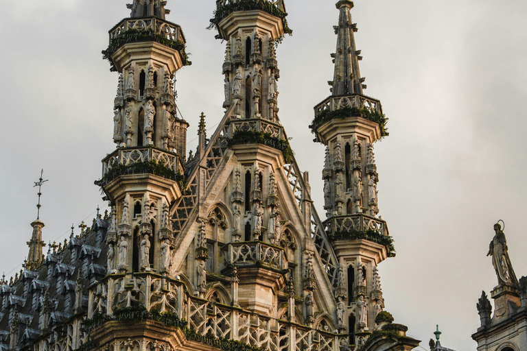 Leuven Bike Tours: Highlights & Beyond + café + bike rental The Leuven Highlights & Beyond (public tour)