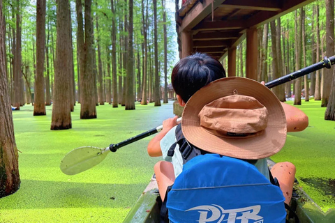 Qingshan Lake: Matcha Lake Sightseeing and Kayaking