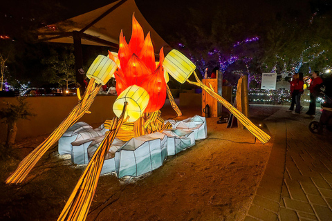 Phoenix: Phoenix ZooLights Entry Ticket