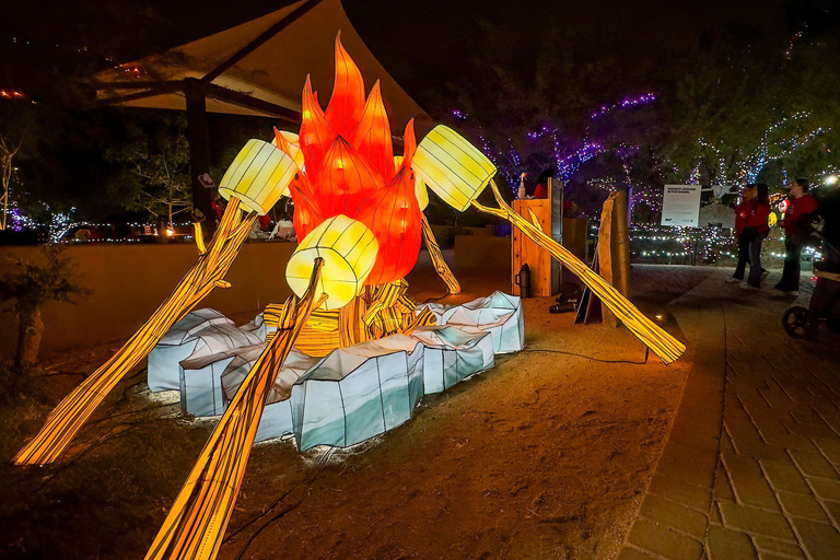 Phoenix: Phoenix ZooLights Entry Ticket