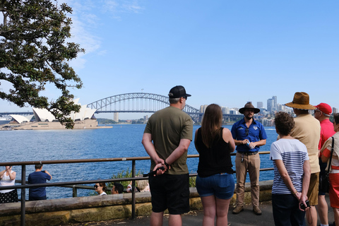 Sydney: Morgens Sightseeing Bus nach Bondi mit Lunch Cruise