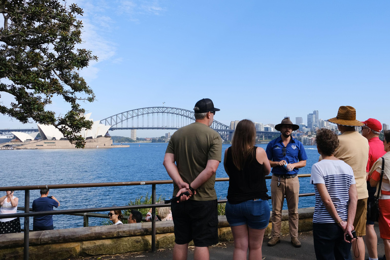 Sydney: Morgens Sightseeing Bus nach Bondi mit Lunch Cruise