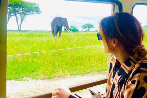 Tanzania Group Safaris Through Tanzania’s Top National Parks Arusha : 3 Days Serengeti and ngorongoro ngroup Safari