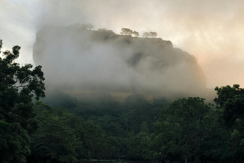 From Colombo or Kandy: Sigiriya Rock Fortress Day Tour