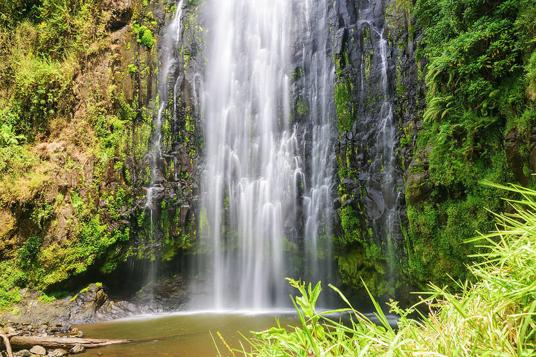 From Moshi: Escape to Materuni Waterfall, Coffee with Lunch