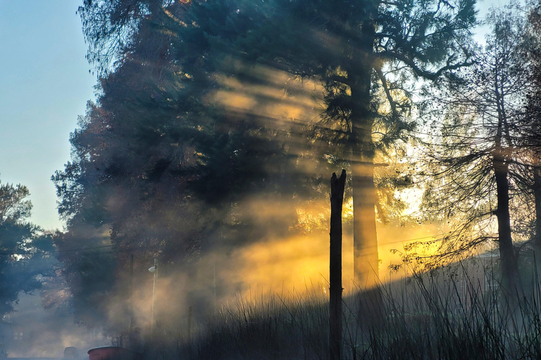 Tigre Delta: Island Life Full-Day Kayaking & Jungle Walk