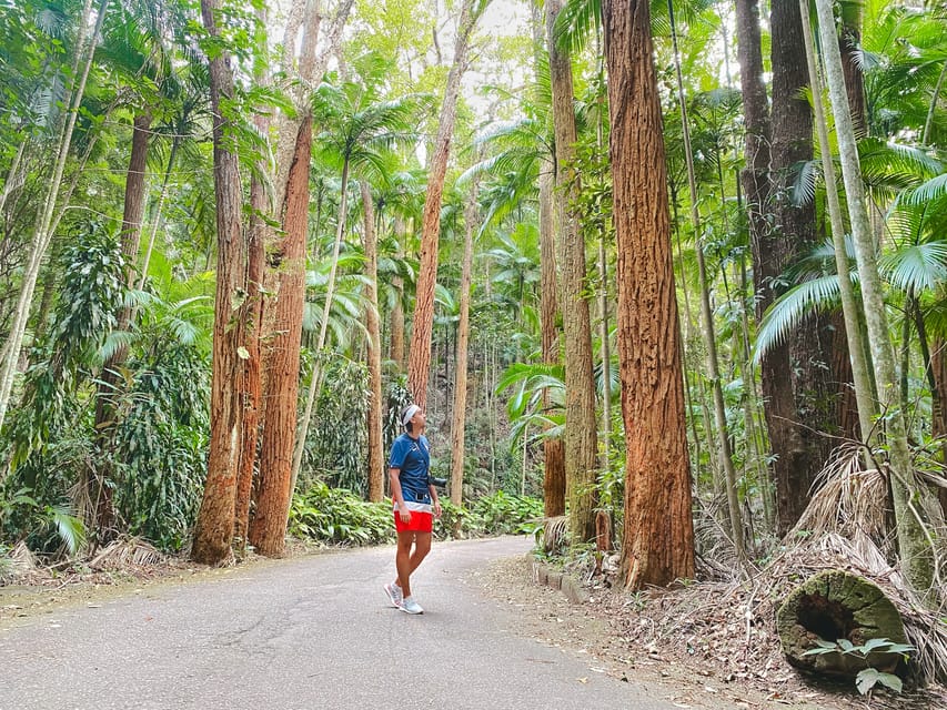 Idiomas: O que significa 'hiking' em Inglês - 30 On the Road