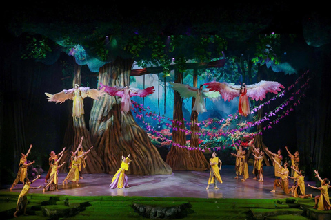 岘港：汉江晚餐游船之旅（含仙沙表演）岘港：汉江晚餐游船之旅，含仙沙表演