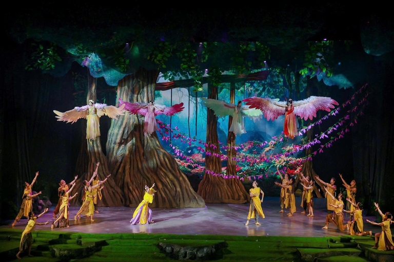 岘港：汉江晚餐游船之旅（含仙沙表演）岘港：汉江晚餐游船之旅，含仙沙表演