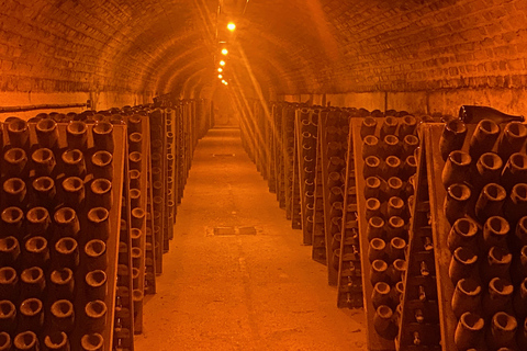 Excursion privée d&#039;une demi-journée au Champagne Moet et Chandon au départ de ParisAVANCÉ