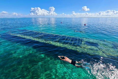 Sainte Rose: Lagoon boat excursion