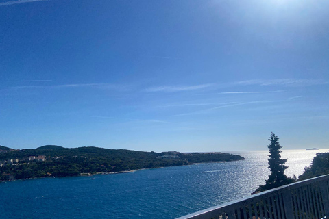 Dubrovnik: Tuk Tuk Photo Tour with Live Guide & Views