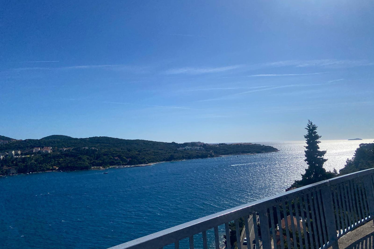 Dubrovnik: Tuk Tuk Photo Tour with Live Guide & Views