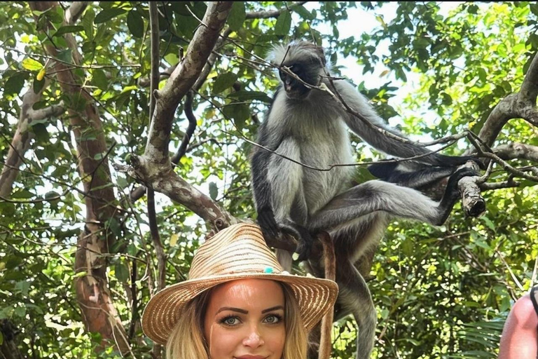 Zanzibar: Blå lagunen, sjöstjärnor och Jozani-skogenTransfer till hotell var som helst på Zanzibar