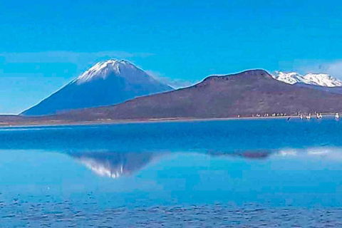 Prix de l&#039;offre Excursion à la lagune de Salinas et à la réserve nationale 8H