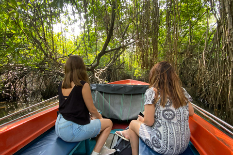 Bentota Jet Ski Ride & Mangrove River Safari Adventure Combo