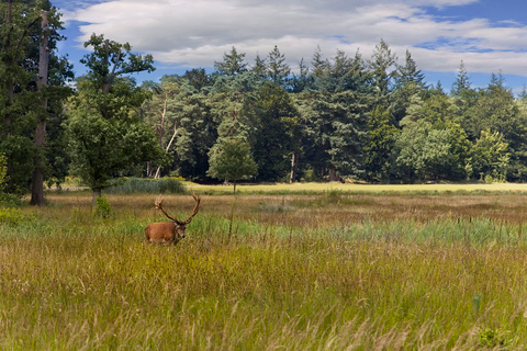 Private Tour Veluwe National Park and Kröller Müller Museum