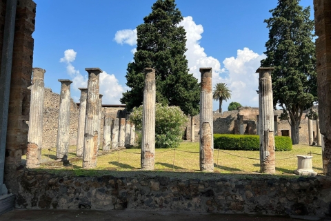 Geführte Tour zu den Ausgrabungen von Pompeji ab Positano